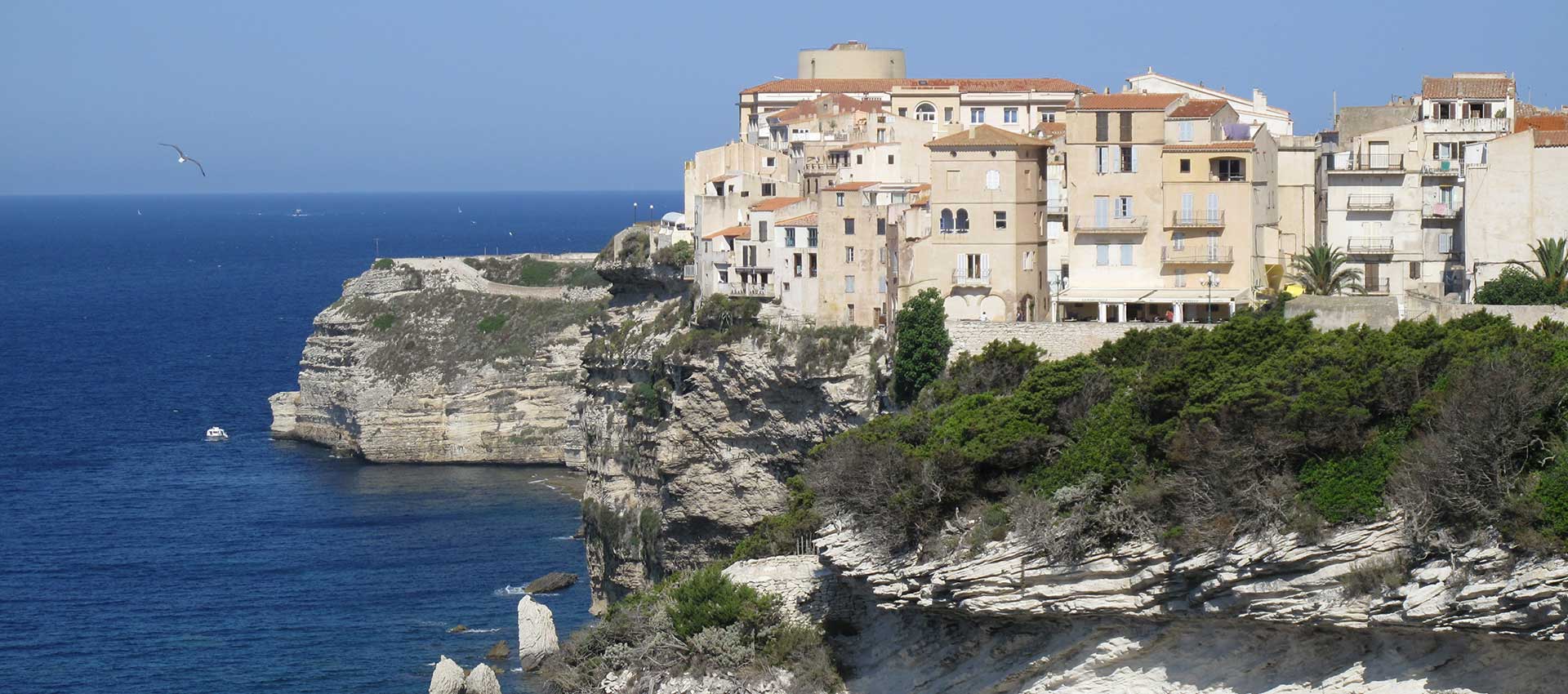 Bonifacio